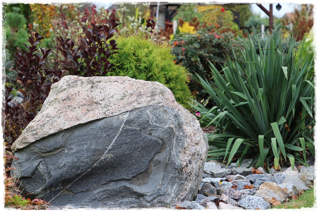 Rośliny odporne na suszę 48