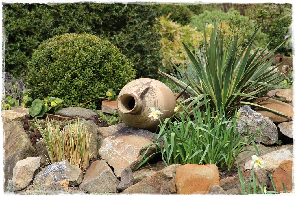 Rośliny odporne na suszę 49