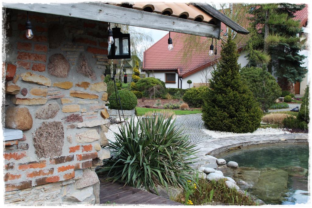 Rośliny odporne na suszę 51