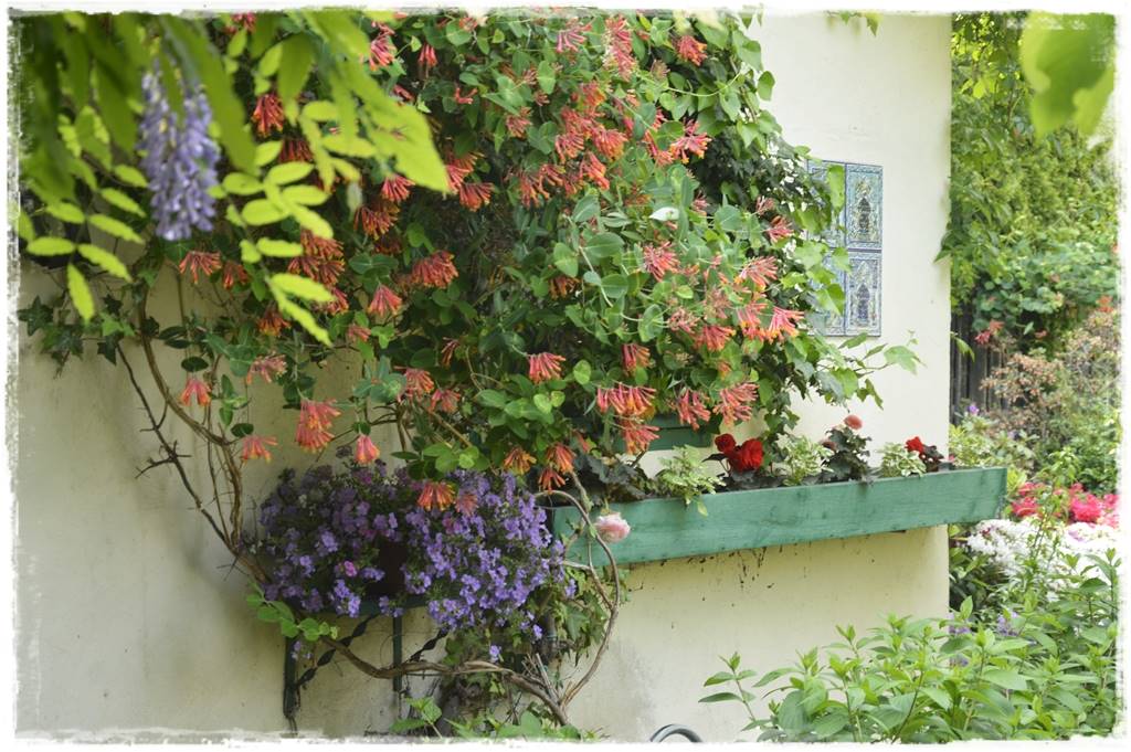 Aranżacja ściany w ogrodzie 10c