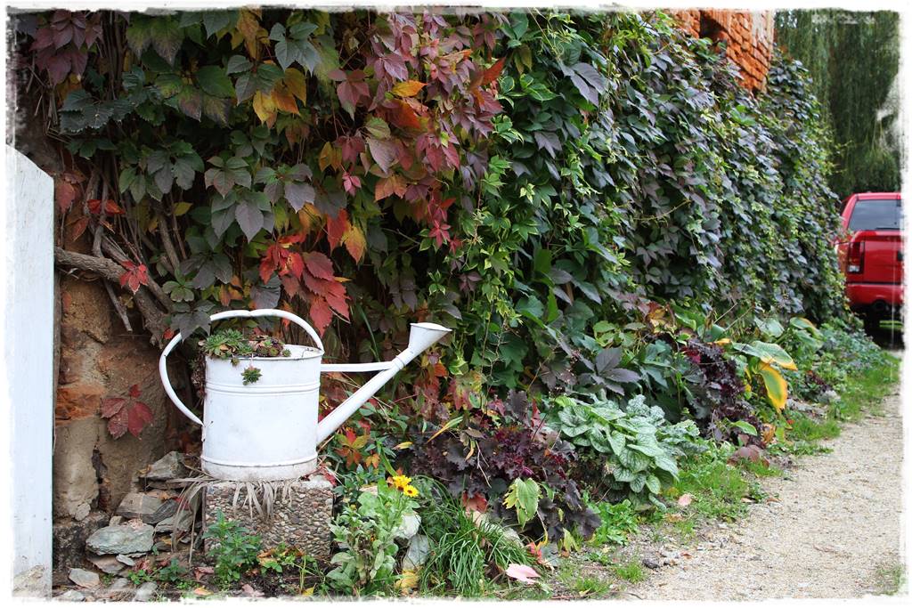 Aranżacja ściany w ogrodzie 30