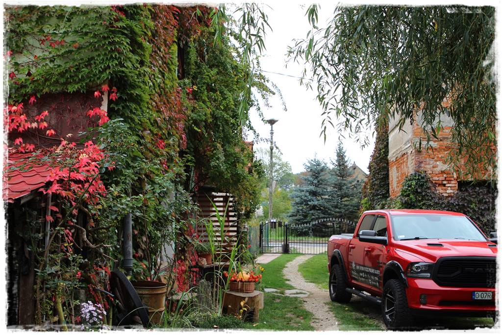 Aranżacja ściany w ogrodzie 30c