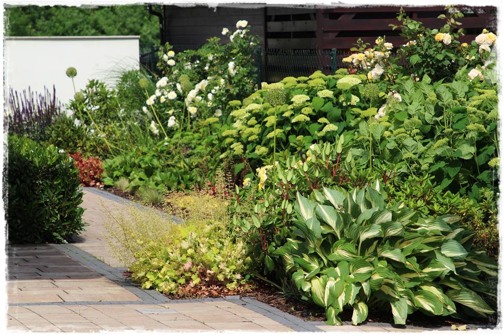 Aranżacja ściany w ogrodzie 60c