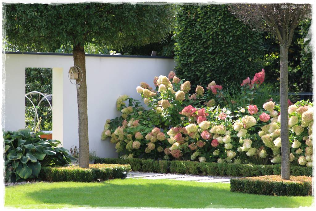 Aranżacja ściany w ogrodzie 7