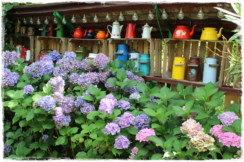 Aranżacja ściany w ogrodzie 80g