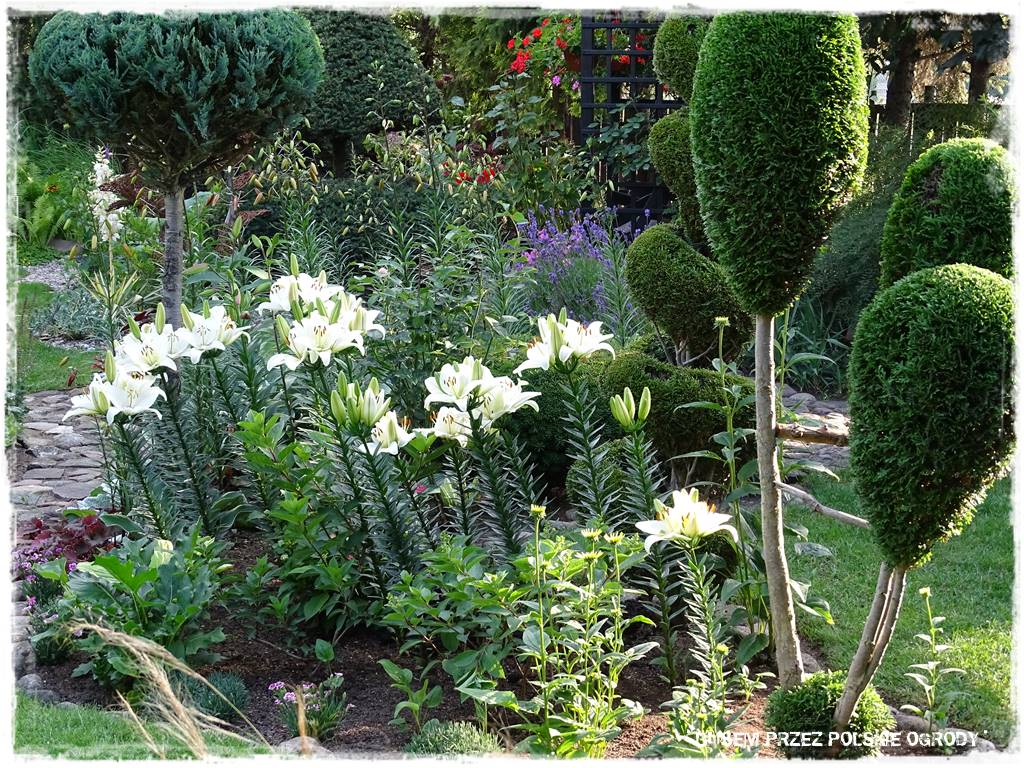 Aranżacje z wikliny pomysł na mały ogród 12