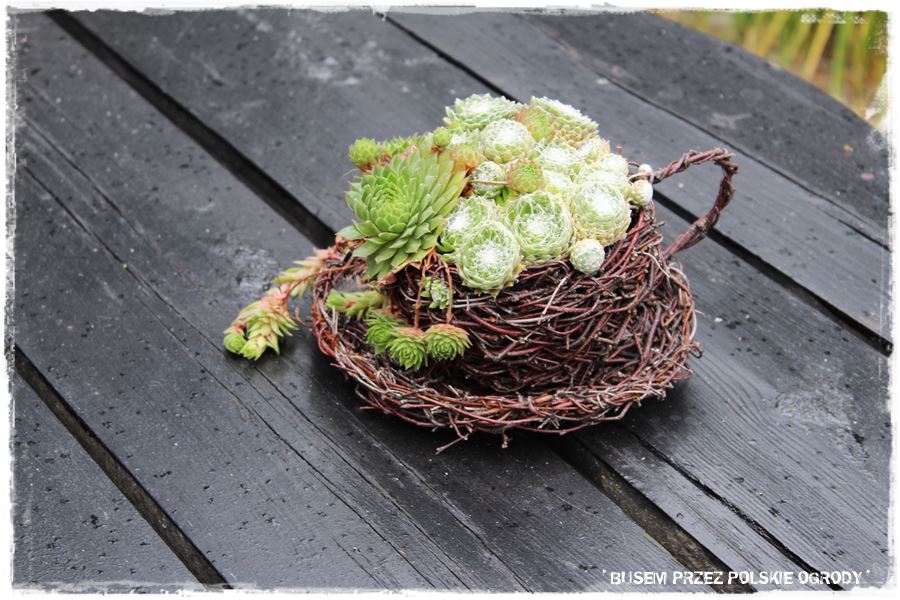 Aranżacje z wikliny pomysł na mały ogród 21