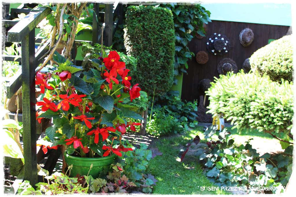 Aranżacje z wikliny pomysł na mały ogród 22a