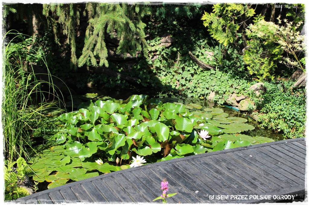 Aranżacje z wikliny pomysł na mały ogród 32