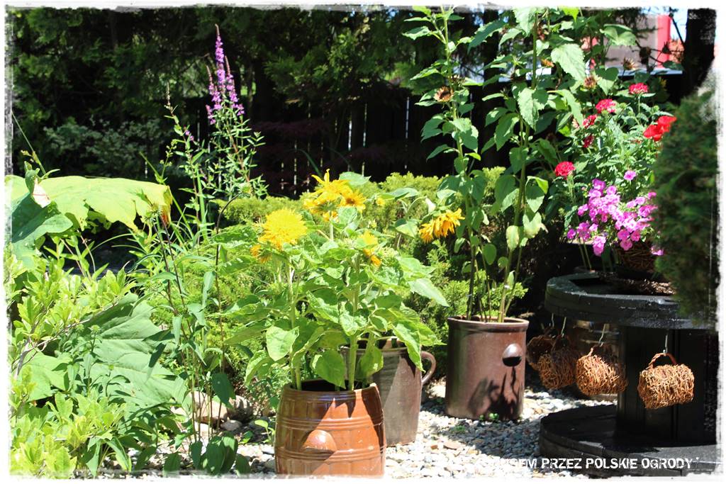 Aranżacje z wikliny pomysł na mały ogród 47