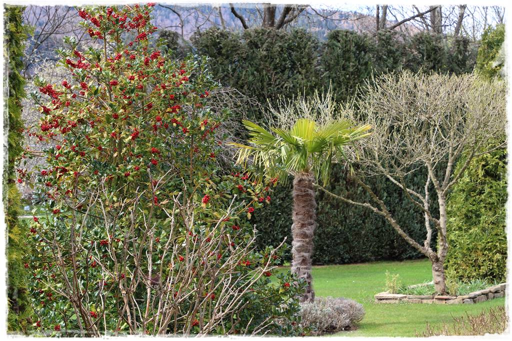 Bajery do ogrodu 10b