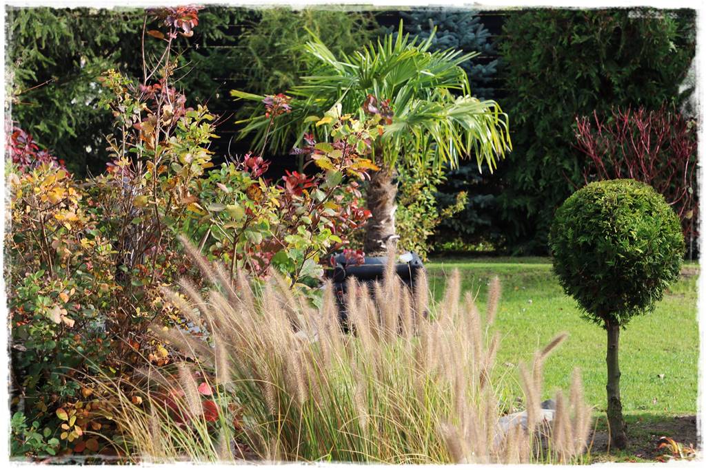 Bajery do ogrodu 10d