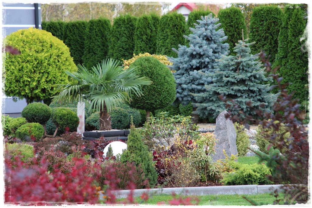 Bajery do ogrodu 20d