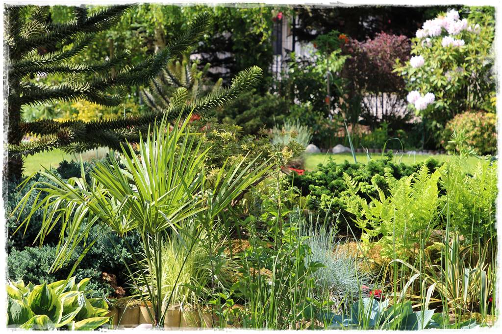 Bajery do ogrodu 30b