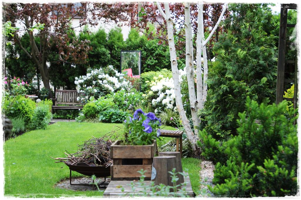 Brzoza w ogrodzie aranżacje 10 Brzoza w ogrodzie aranżacje 10