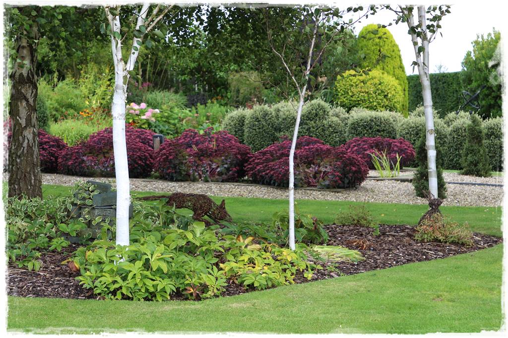 Brzoza w ogrodzie aranżacje 12 Brzoza w ogrodzie aranżacje 12