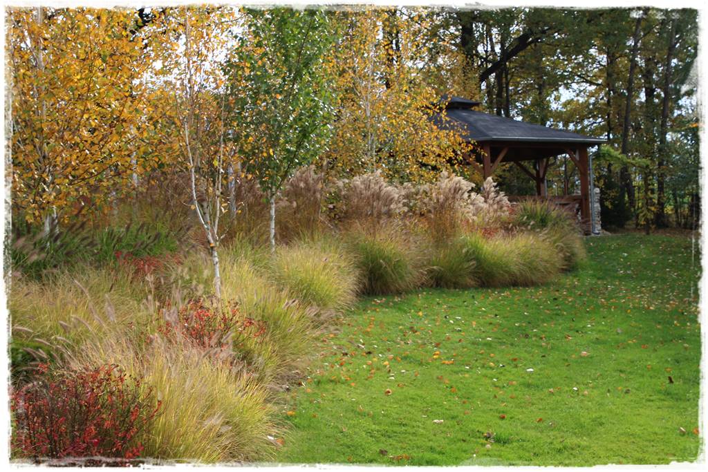 Brzoza w ogrodzie aranżacje 128 Brzoza w ogrodzie aranżacje 128