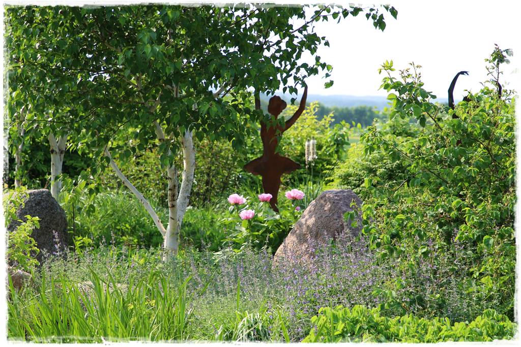 Brzoza w ogrodzie aranżacje 132 Brzoza w ogrodzie aranżacje 132