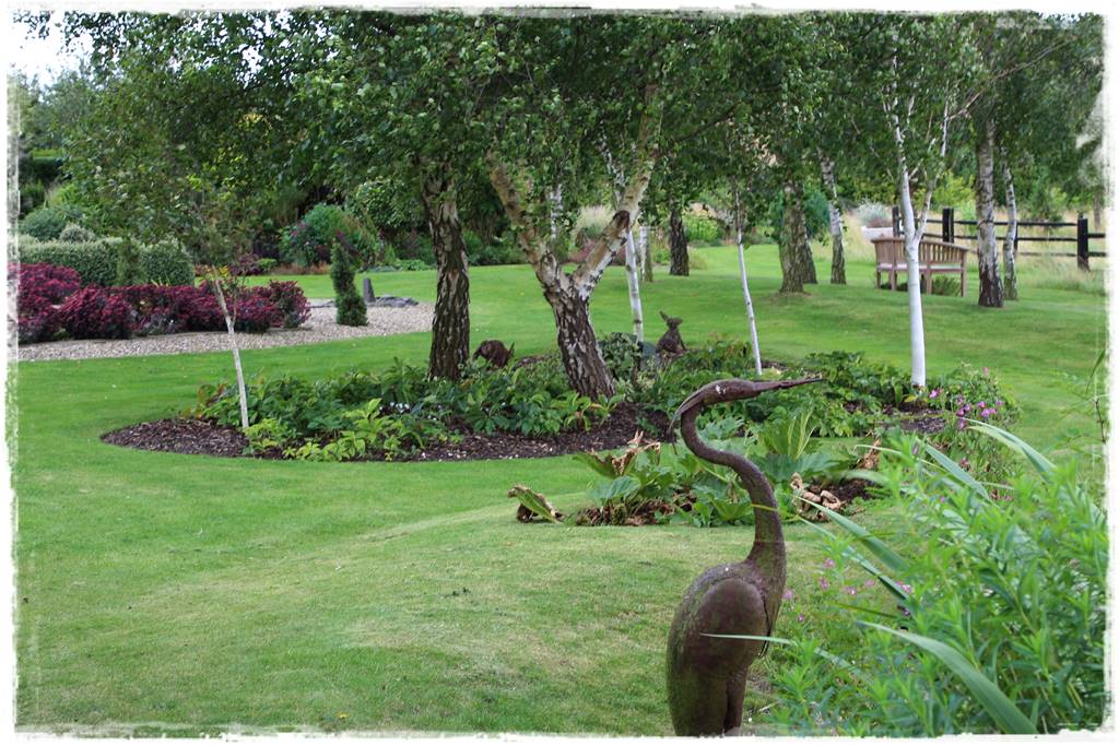 Brzoza w ogrodzie aranżacje 140 Brzoza w ogrodzie aranżacje 140