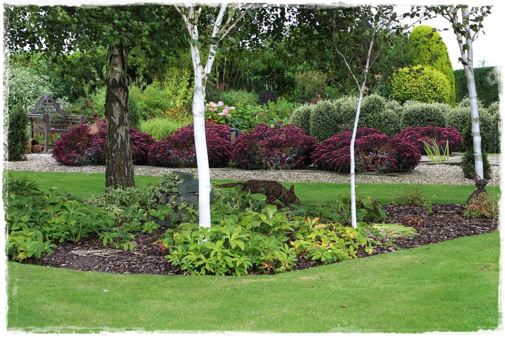 Brzoza w ogrodzie aranżacje 142 Brzoza w ogrodzie aranżacje 142