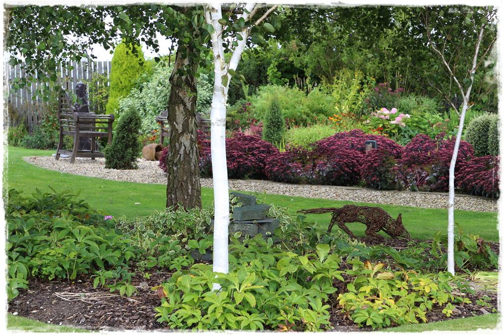 Brzoza w ogrodzie aranżacje 143 Brzoza w ogrodzie aranżacje 143