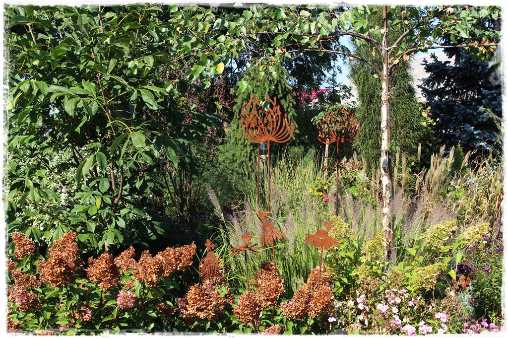 Brzoza w ogrodzie aranżacje 15 Brzoza w ogrodzie aranżacje 15