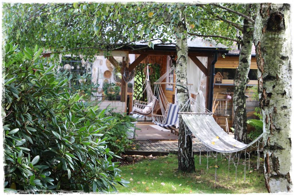 Brzoza w ogrodzie aranżacje 150 Brzoza w ogrodzie aranżacje 150