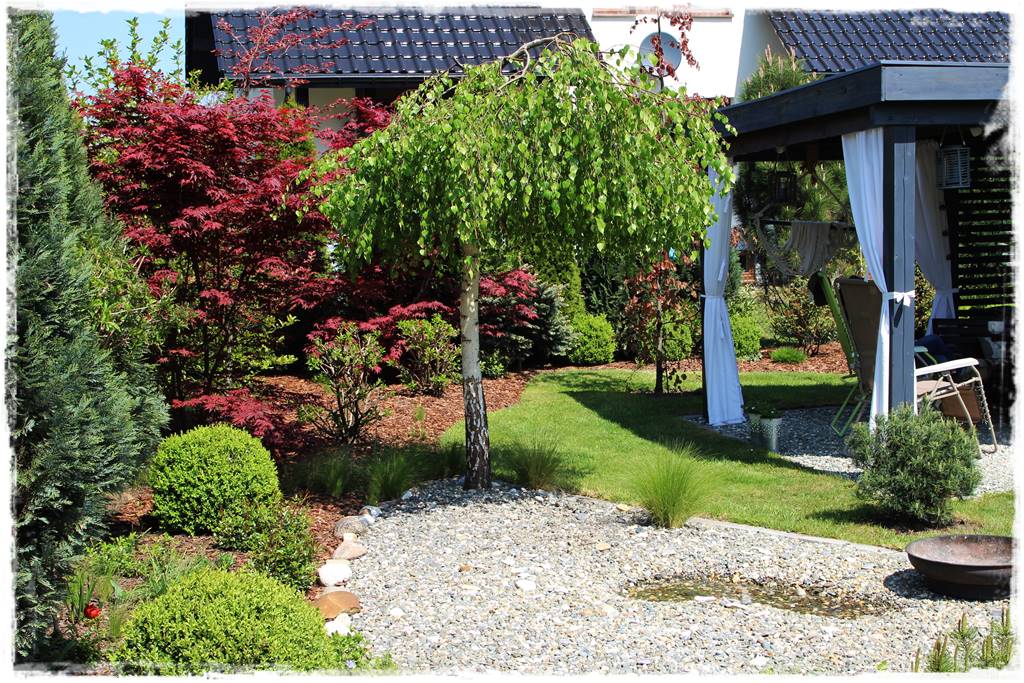 Brzoza w ogrodzie aranżacje 180 Brzoza w ogrodzie aranżacje 180