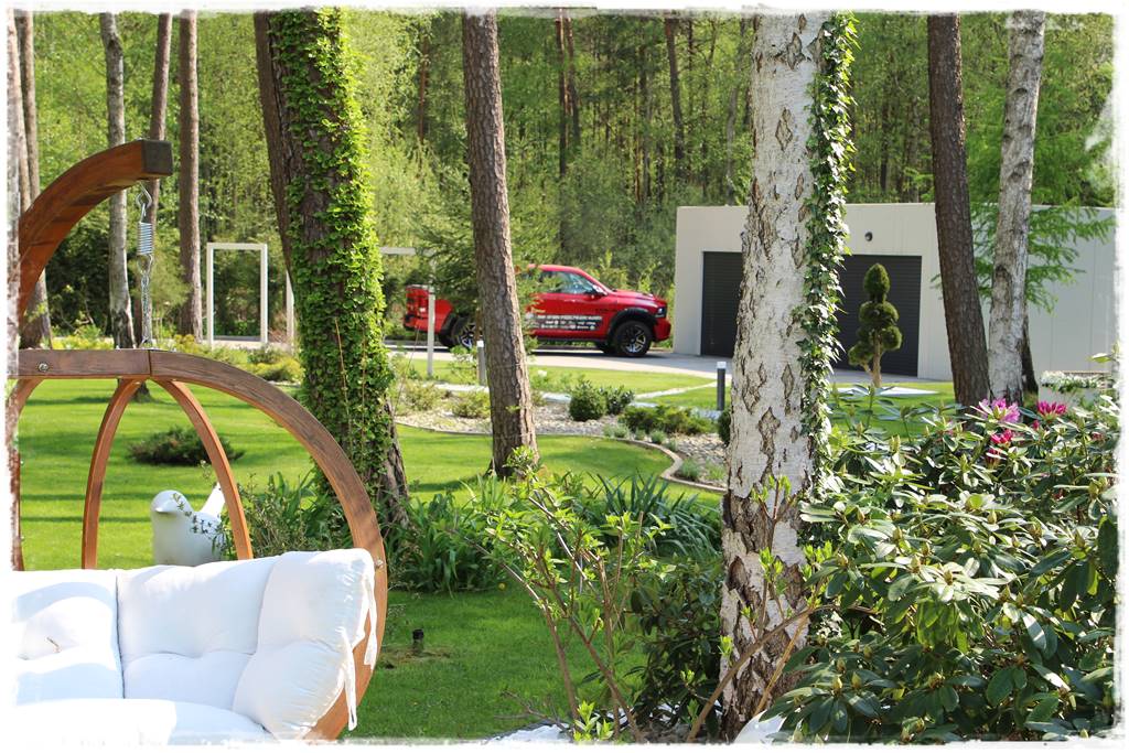 Brzoza w ogrodzie aranżacje 202 Brzoza w ogrodzie aranżacje 202