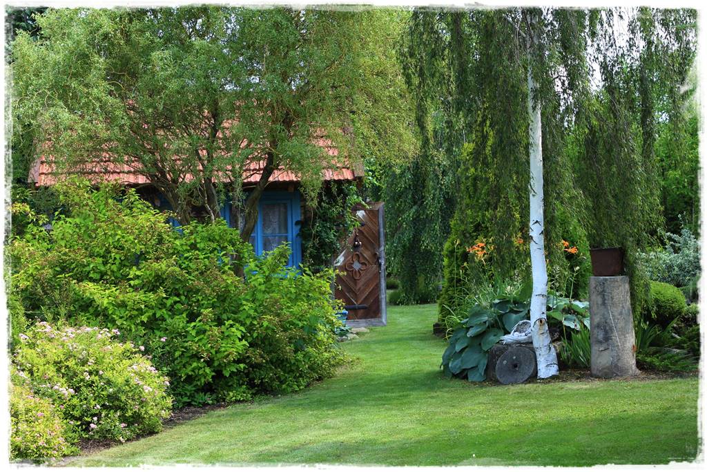 Brzoza w ogrodzie aranżacje 5a Brzoza w ogrodzie aranżacje 5a