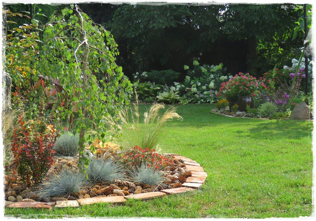 Brzoza w ogrodzie aranżacje 7 Brzoza w ogrodzie aranżacje 7