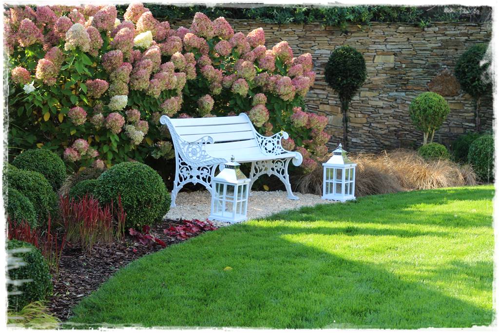 Bukszpan w ogrodzie aranżacje 10d