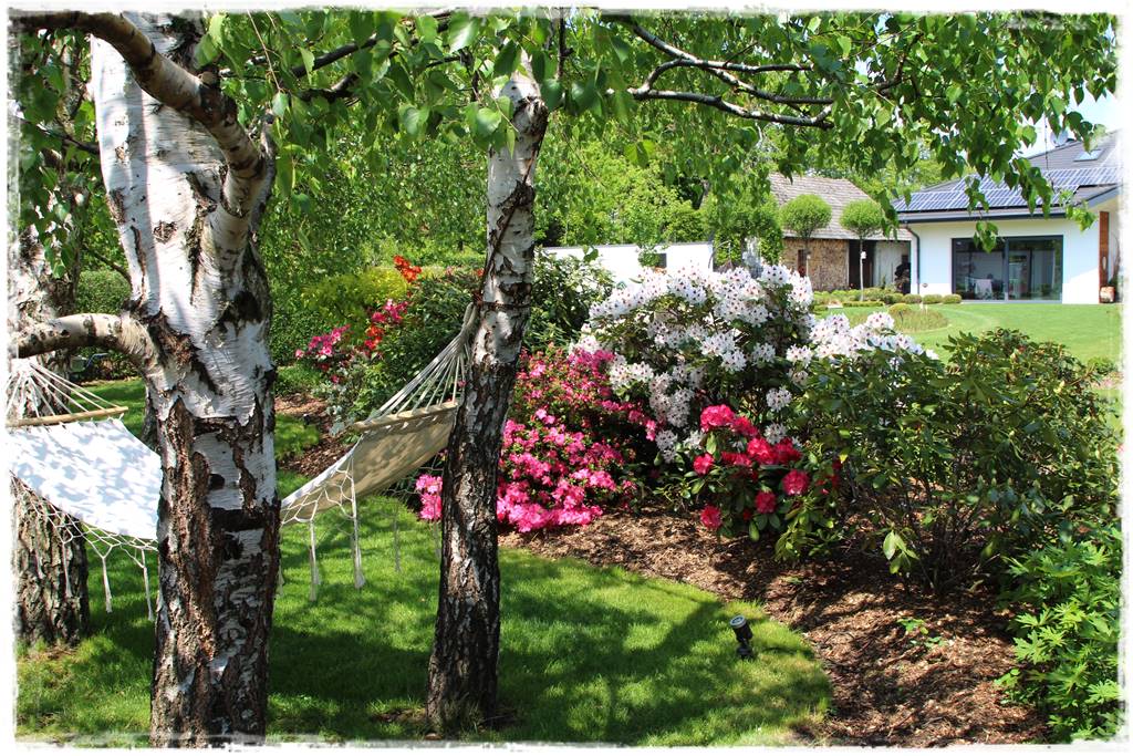 Hamak w ogrodzie 5 Hamak w ogrodzie 5