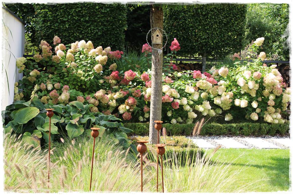 Hortensje w ogrodzie aranżacje 10c Hortensje w ogrodzie aranżacje 10c