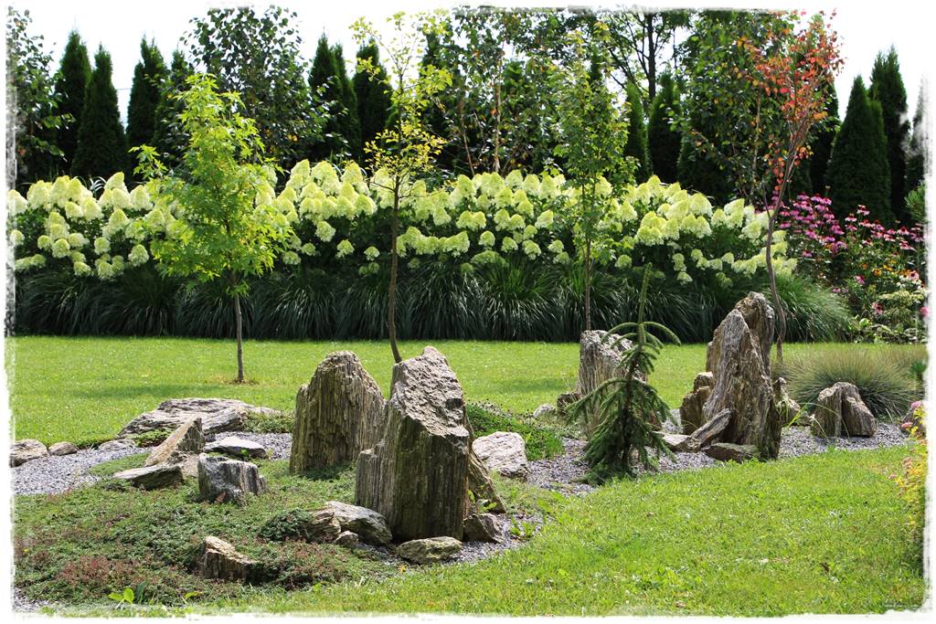 Hortensje w ogrodzie aranżacje 2c Hortensje w ogrodzie aranżacje 2c