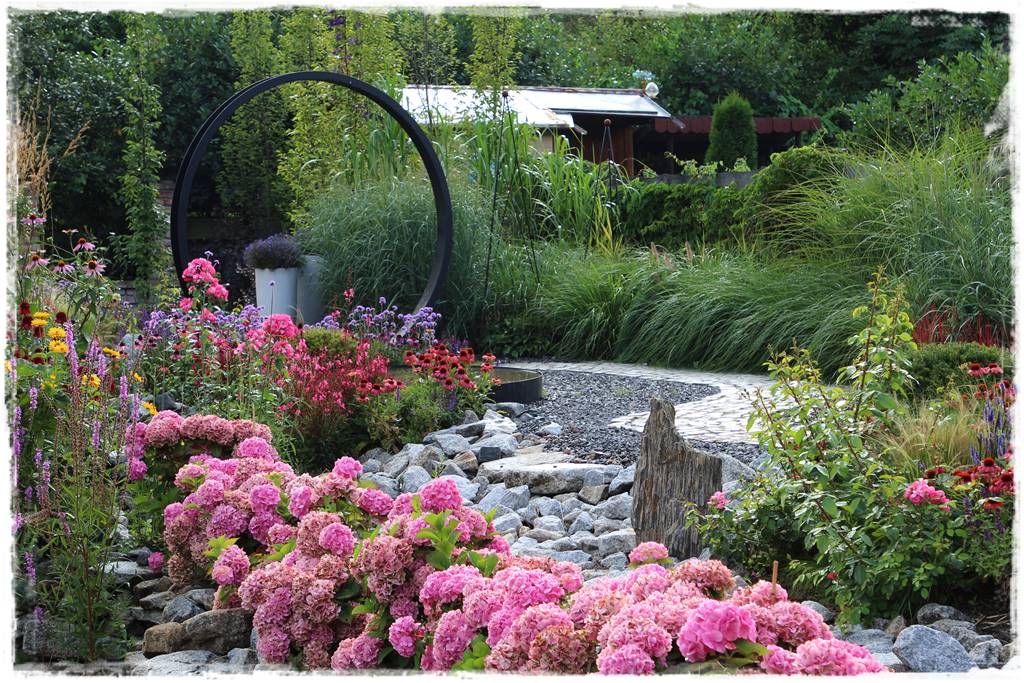 Hortensje w ogrodzie aranżacje 5 Hortensje w ogrodzie aranżacje 5