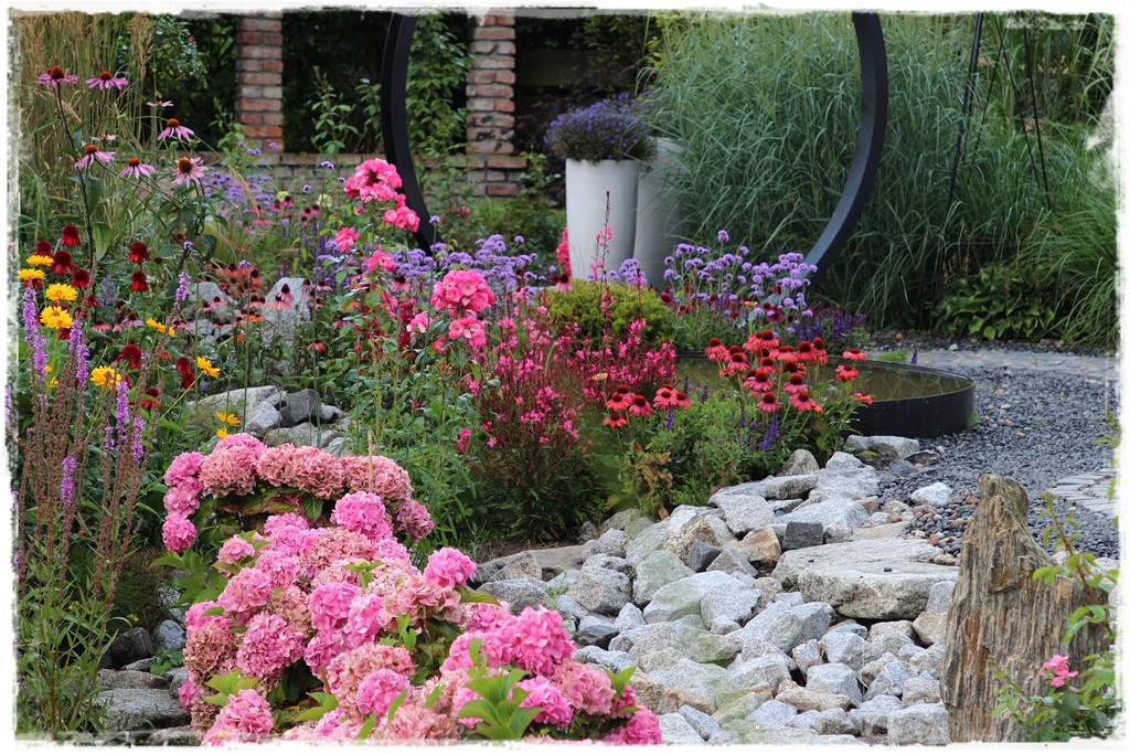 Hortensje w ogrodzie aranżacje 5b Hortensje w ogrodzie aranżacje 5b
