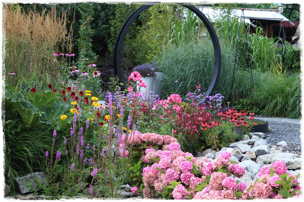 Hortensje w ogrodzie aranżacje 5c Hortensje w ogrodzie aranżacje 5c