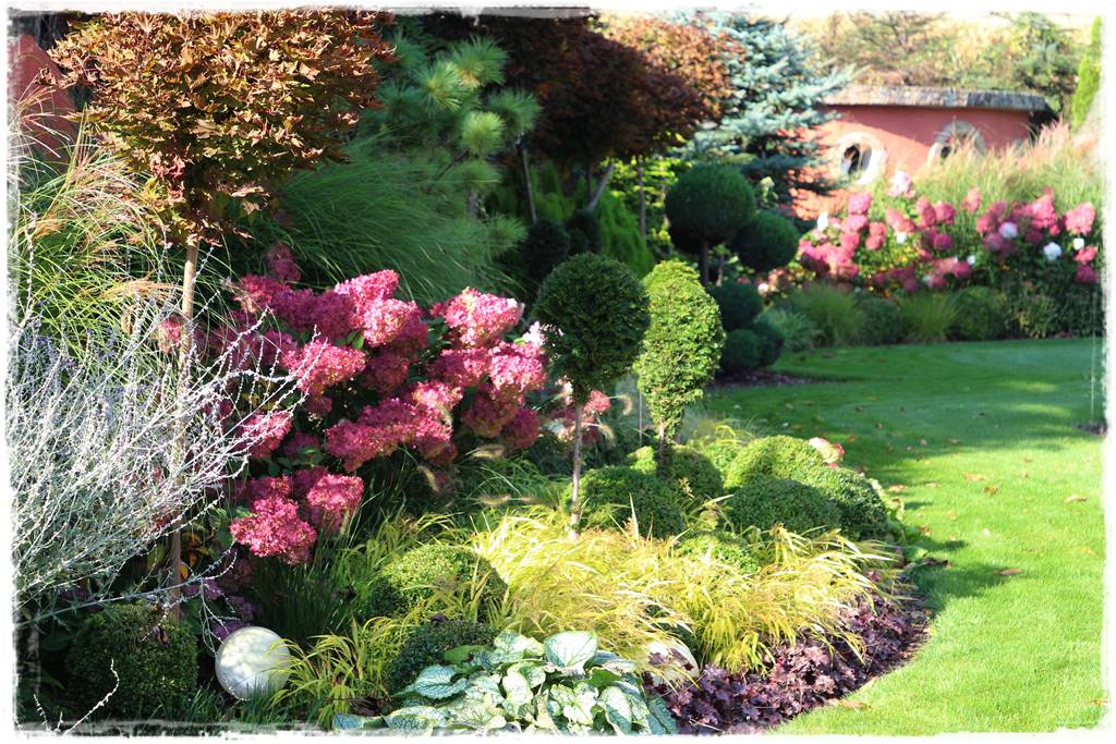 Hortensje w ogrodzie aranżacje 6d Hortensje w ogrodzie aranżacje 6d