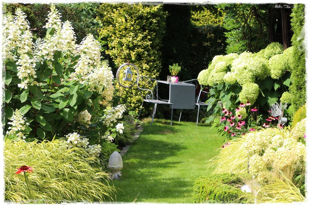 Hortensje w ogrodzie aranżacje 8b Hortensje w ogrodzie aranżacje 8b