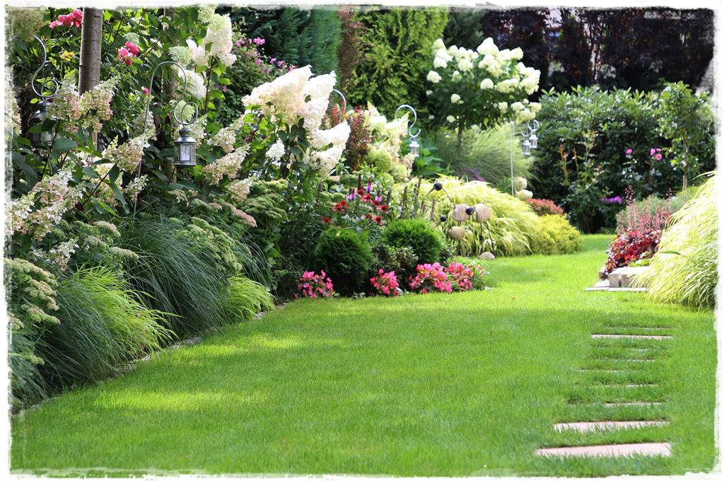 Hortensje w ogrodzie aranżacje 8c Hortensje w ogrodzie aranżacje 8c