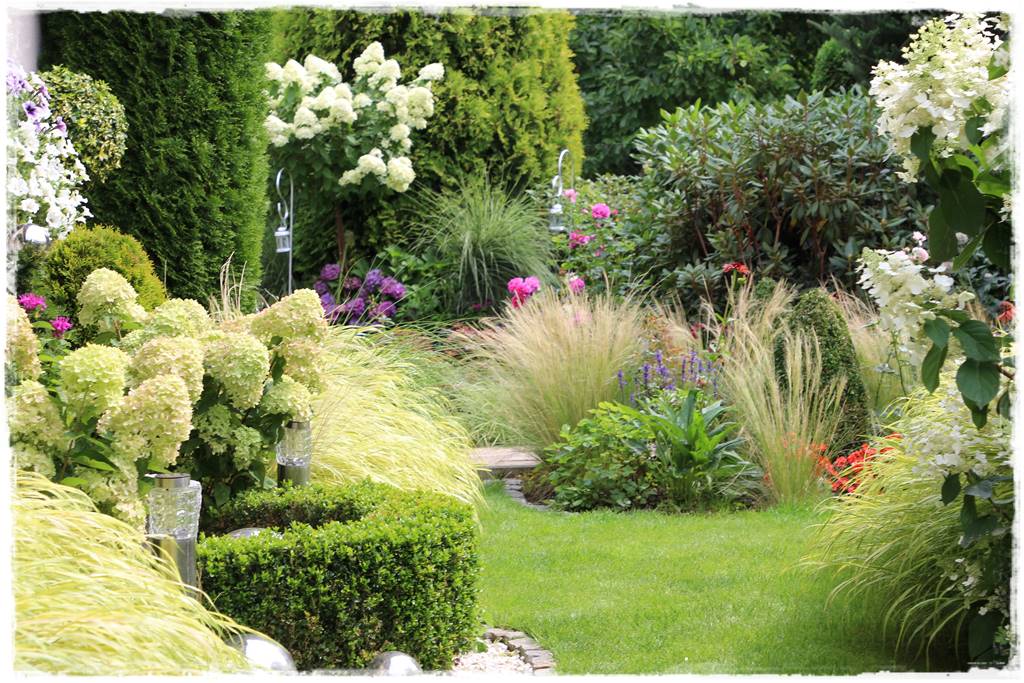 Hortensje w ogrodzie aranżacje 8d Hortensje w ogrodzie aranżacje 8d