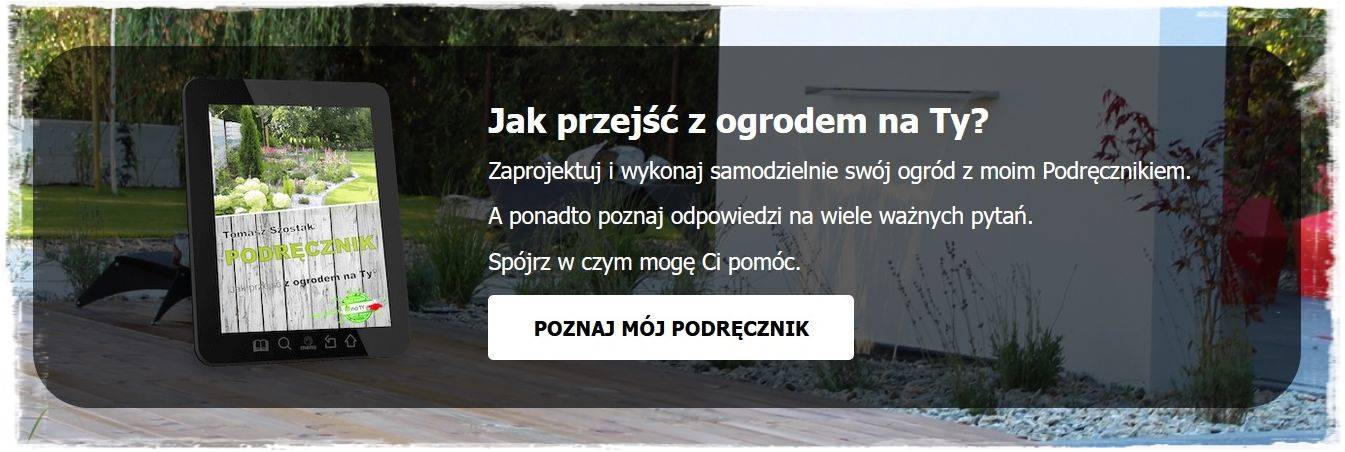 Hosty w ogrodzie 100