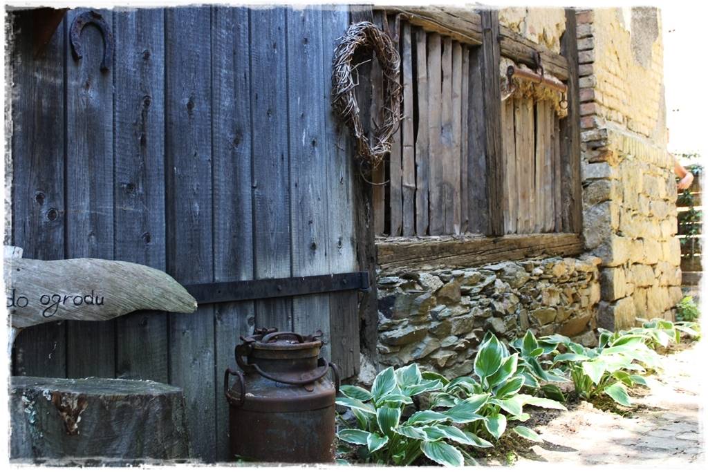 Hosty w ogrodzie 3d