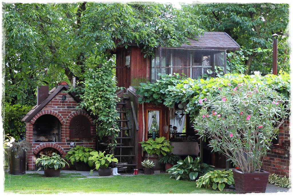 Hosty w ogrodzie 7aa