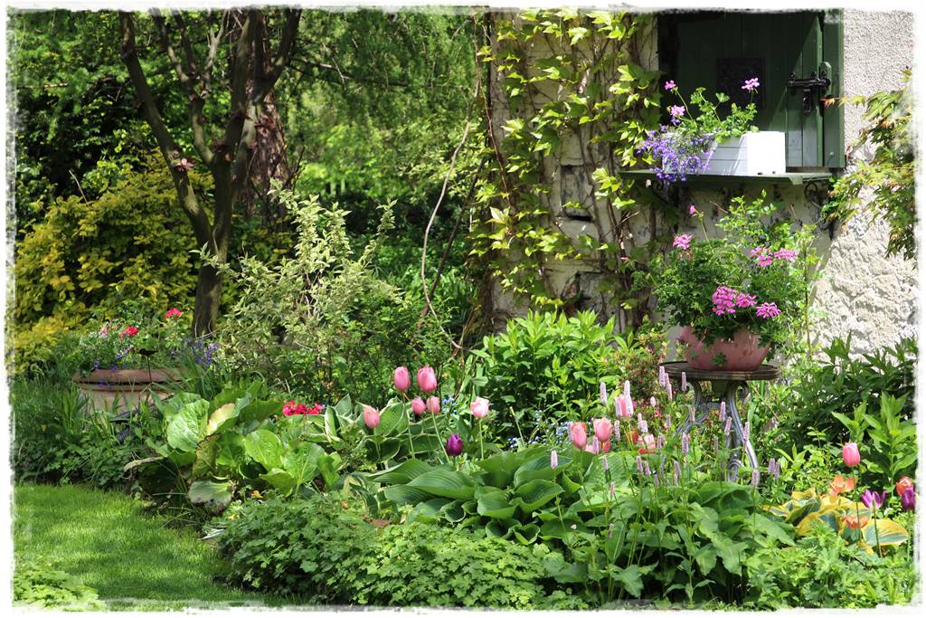 Hosty w ogrodzie 9b