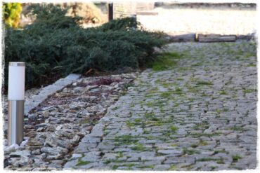 Jak zwalczyć chwasty bez chemii 1