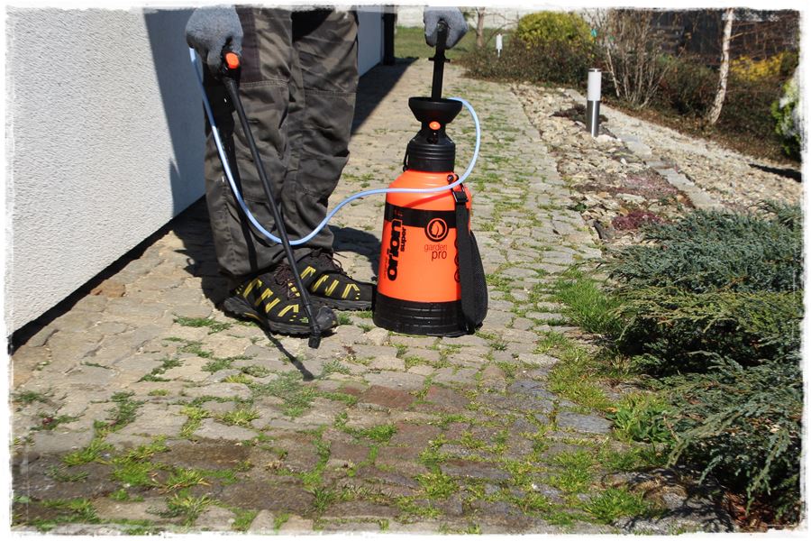 Jak zwalczyć chwasty bez chemii 10 Jak zwalczyć chwasty bez chemii 10