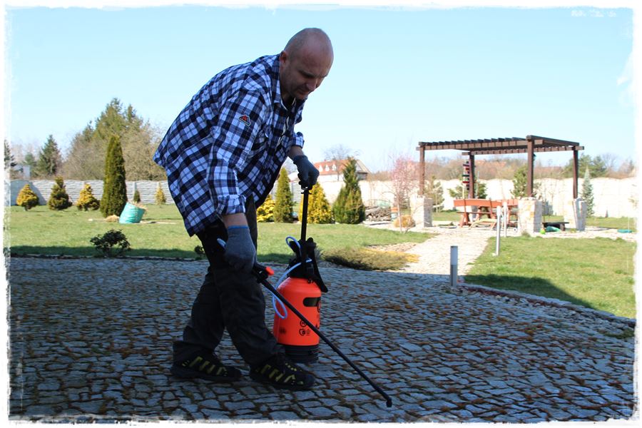 Jak zwalczyć chwasty bez chemii 11 Jak zwalczyć chwasty bez chemii 11