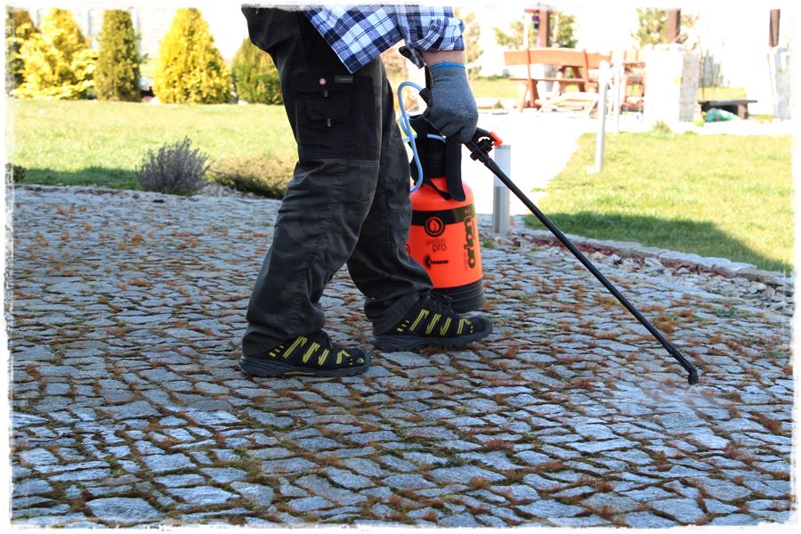 Jak zwalczyć chwasty bez chemii 12 Jak zwalczyć chwasty bez chemii 12